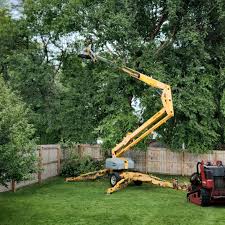 Reliable Duluth, WA Tree Services Solutions